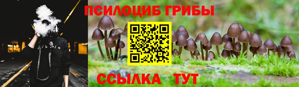 Ессентуки  Псилоцибиновые грибы прущие грибы  Вход с VPN 
