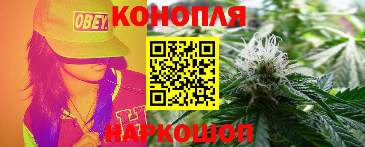 Бошки Шишки Bruce Banner  Канабис OG Kush  Ессентуки  Вход с VPN  Канабис VHQ 